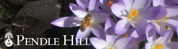 Pendle Hill eNews banner (Apr)
